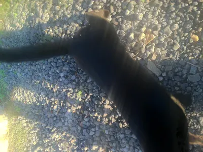 Trip Photo
